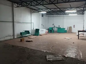 ফ্যাক্টরি/গোডাউন/ওয়্যারহাউস
