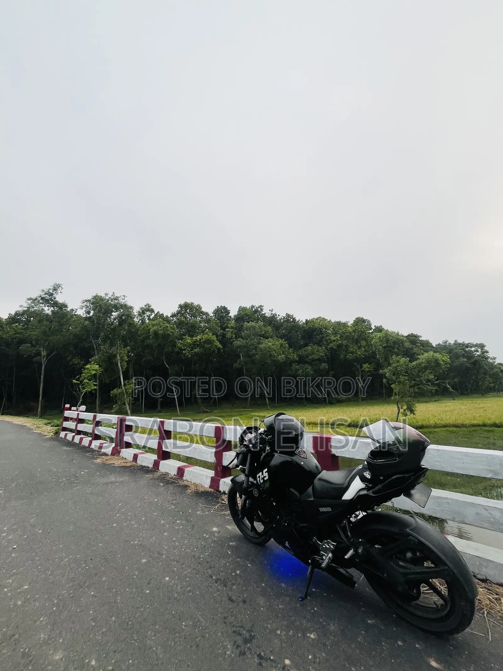 New Yamaha FZ 2011 Black