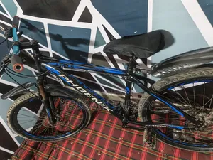 Phoenix Aluminum Cycle 26-inch