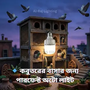 কবুতরের বাসায় মোশন সেন্সর এলইডি বাল্ব | অটো অন-অফ স্মার্ট লাইট