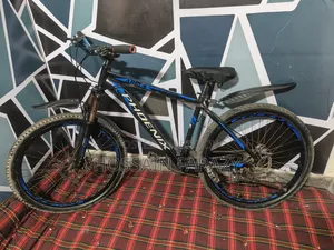 Phoenix Aluminum Cycle 26-inch