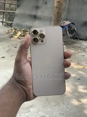 Apple iPhone 12 Pro Max 512 GB Gold