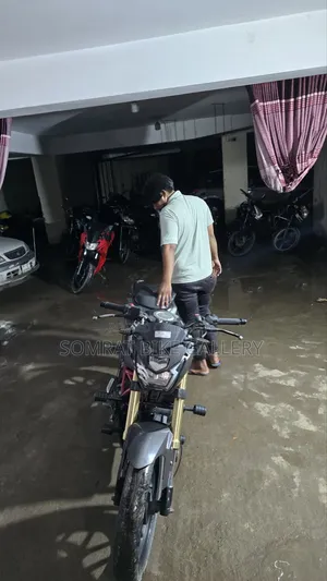 Runner Bolt 165R 2018 Purple