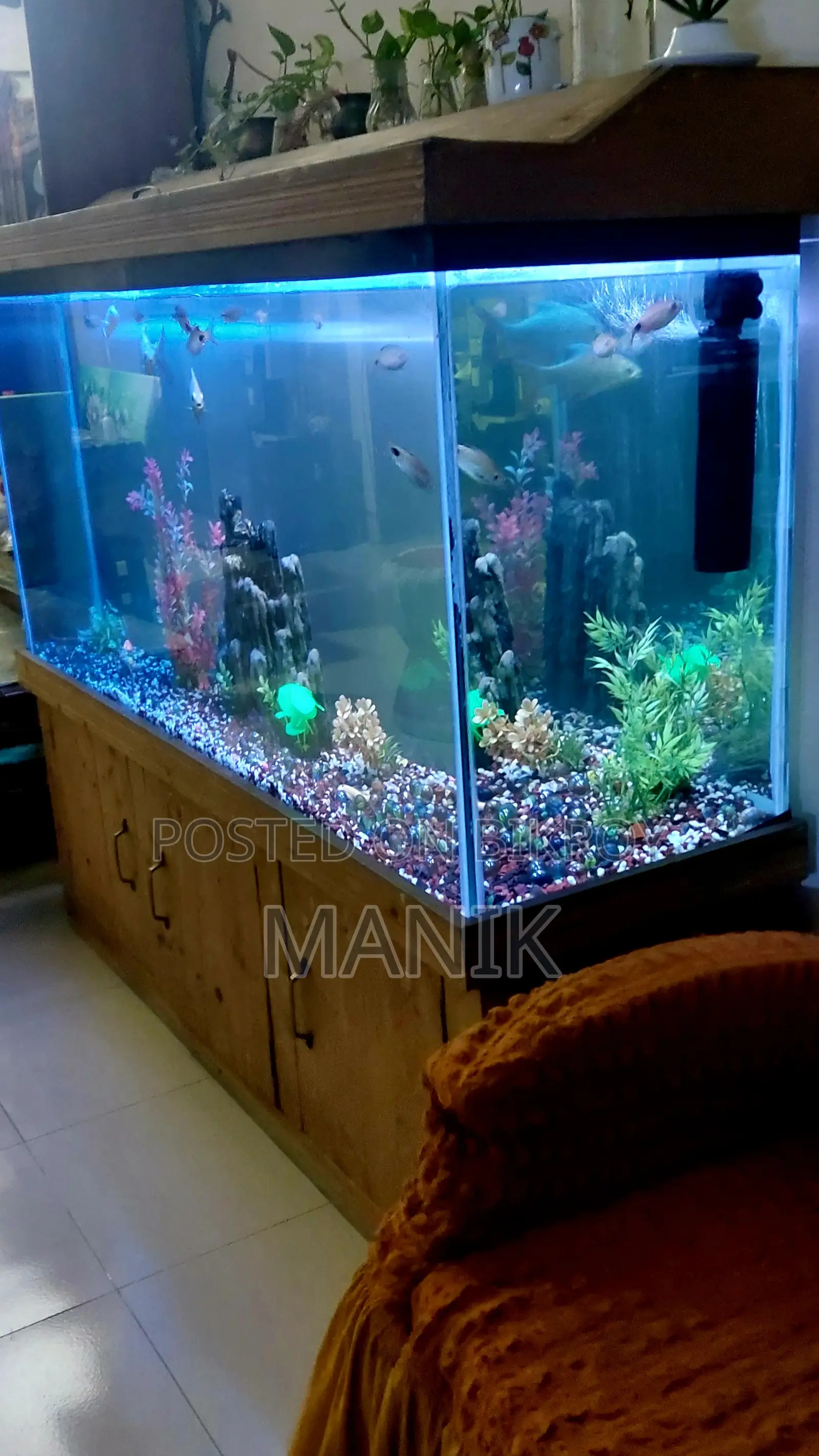 Aquarium With Fish - 5 Feet Big