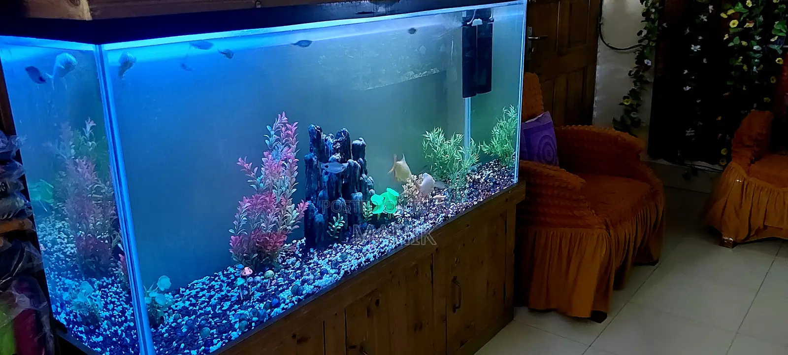 Aquarium With Fish - 5 Feet Big