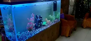 Aquarium With Fish - 5 Feet Big