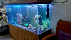 Aquarium With Fish - 5 Feet Big