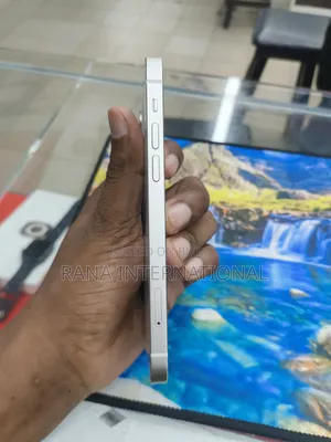 Apple iPhone 12 256 GB Silver