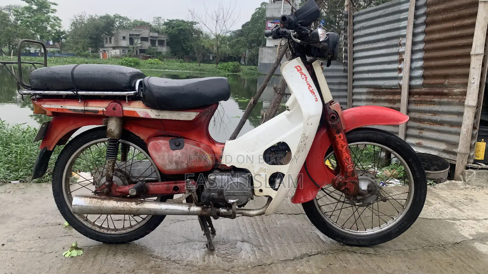 Dayang APOLLO 2013 White