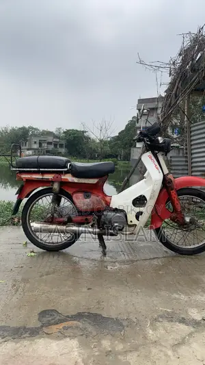 Dayang APOLLO 2013 White