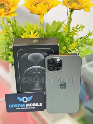 Apple iPhone 12 Pro 128 GB Gray