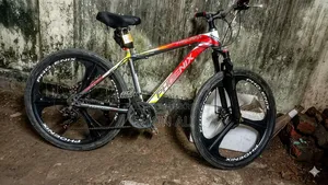 Phoenix Gear Cycle for Sale