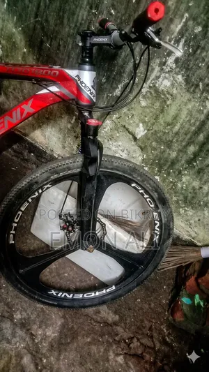 Phoenix Gear Cycle for Sale