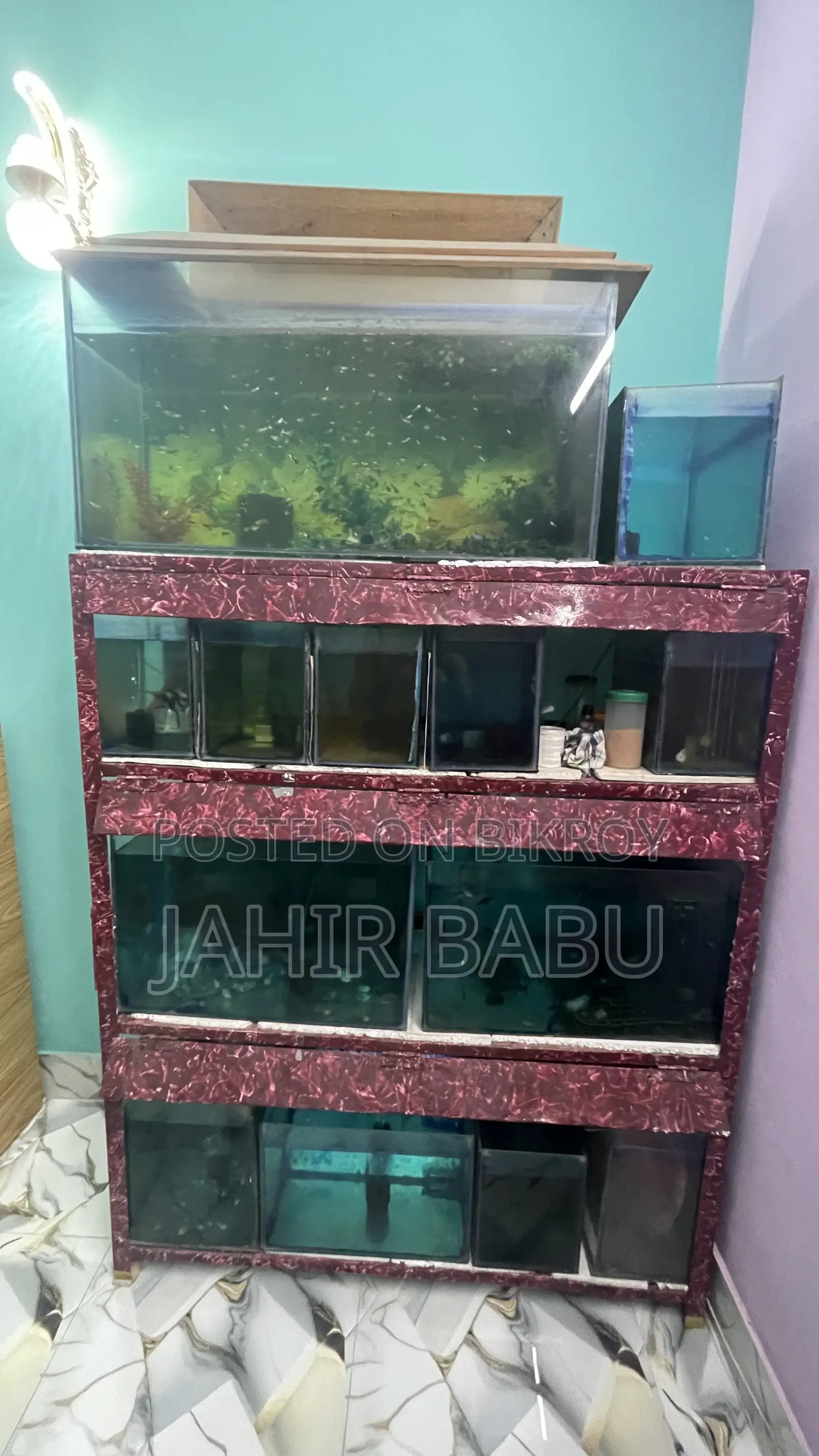 Emergency Sale: Full Aquarium Setup, Filter, Heater And All Fishes