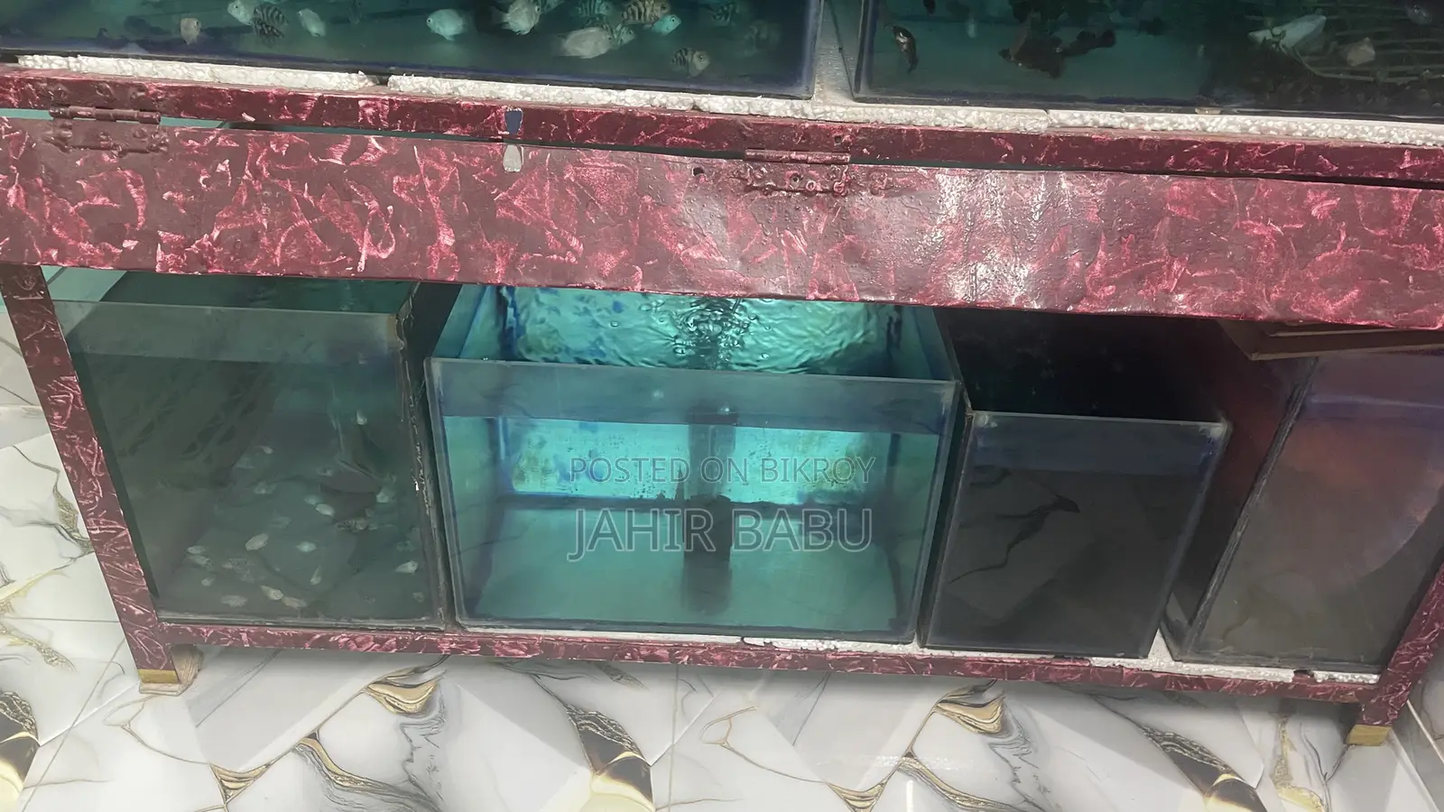 Emergency Sale: Full Aquarium Setup, Filter, Heater And All Fishes