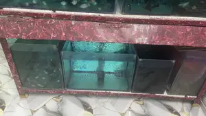 Emergency Sale: Full Aquarium Setup, Filter, Heater And All Fishes