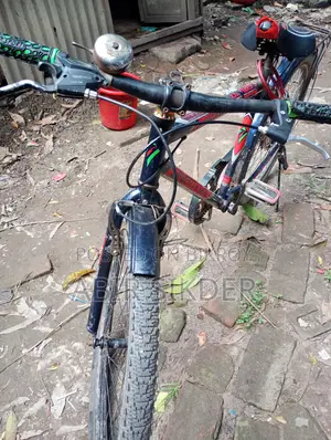 Seventy One Bicycle