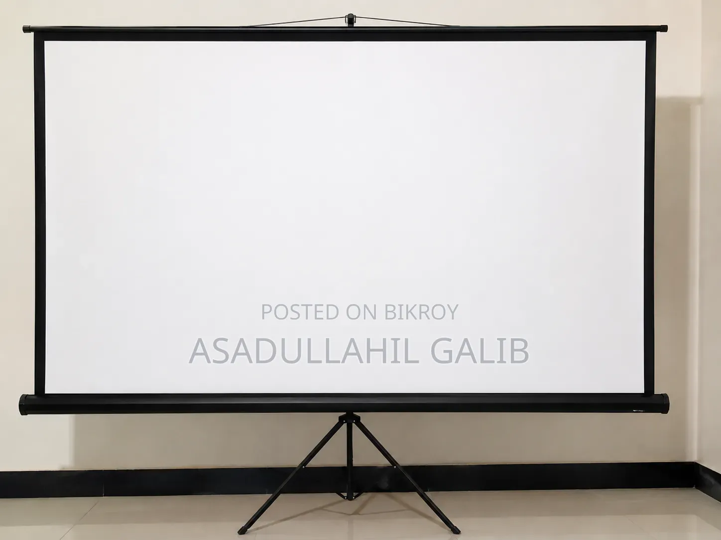 Projector Screen