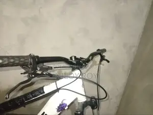2 Oil Brake, 2 Rotors, 1 Chain Derailleur, 1 Footpack, 1 Single Pedal
