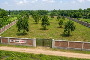 300 decimals of land for sale in Ashulia