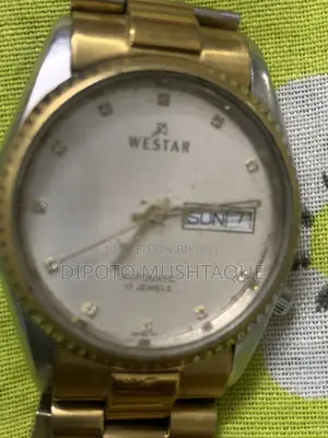 Rare Westar Automatic 17 Jewel Day-Date Mens Wrist Watch Dial Swiss