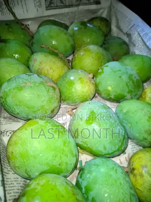 হিম সাগর ( খেস-রা)