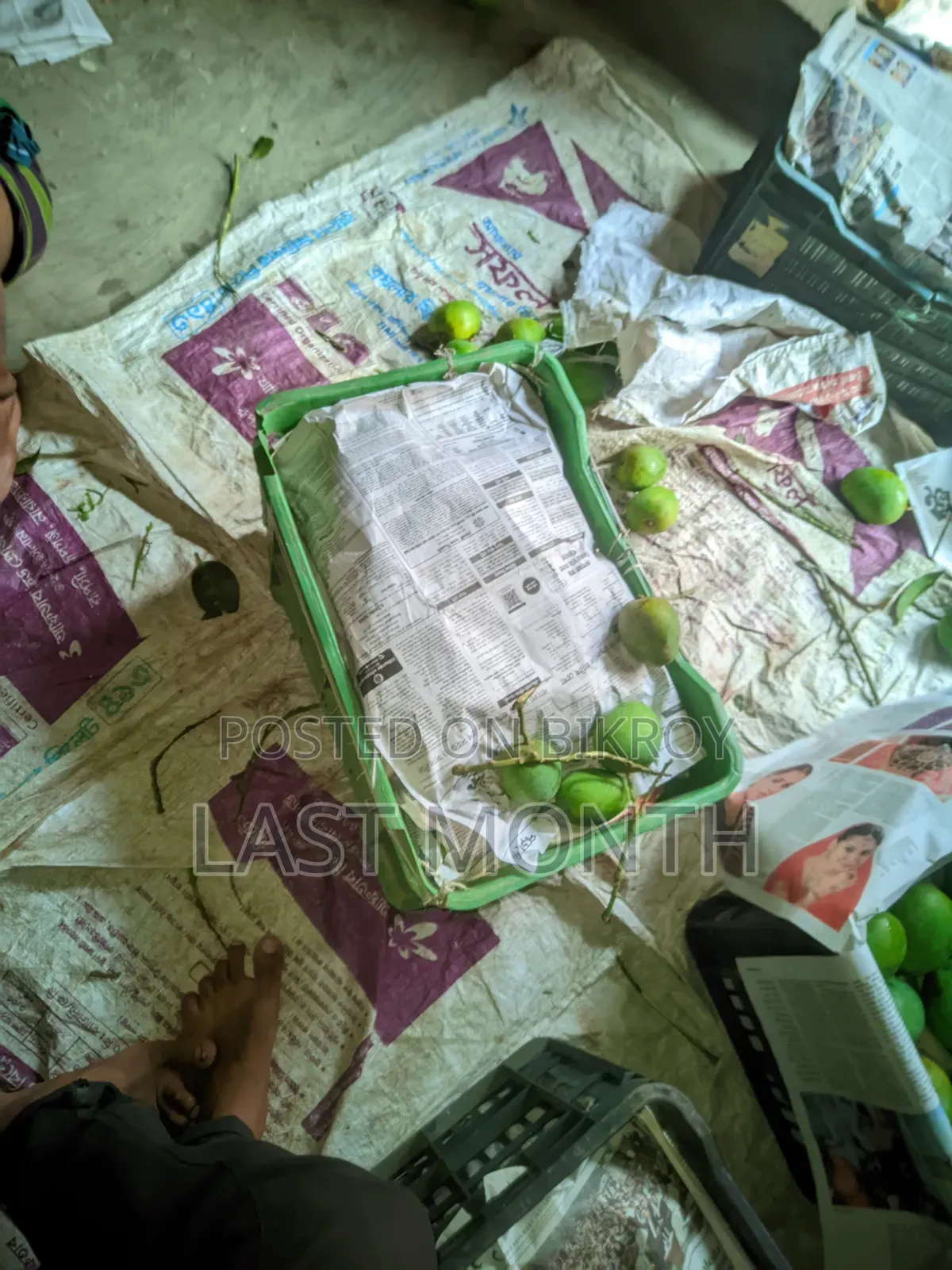 হিম সাগর ( খেস-রা)