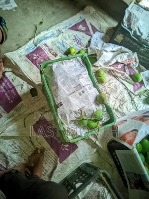 হিম সাগর ( খেস-রা)