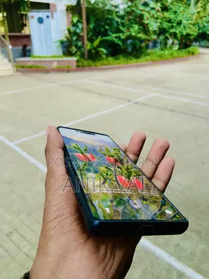 Tecno Spark 20 Pro Plus 256 GB Green