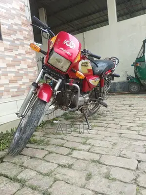 Hero Splendor 110 2010 Red