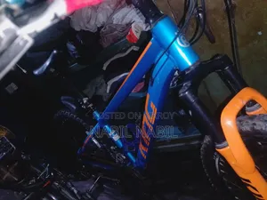 I want to sell the bicycle because it is not being ridden