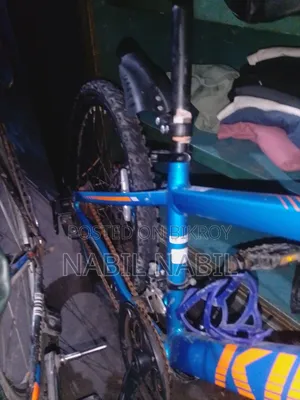I want to sell the bicycle because it is not being ridden