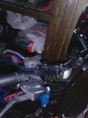I want to sell the bicycle because it is not being ridden