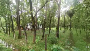 ৫ কাঠা জমি বিক্রয় হবে গাজীপুর সদর