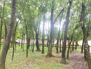 ৫ কাঠা জমি বিক্রয় হবে গাজীপুর সদর