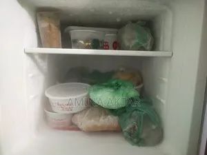 Singer 228 LTR Frost Refrigerator