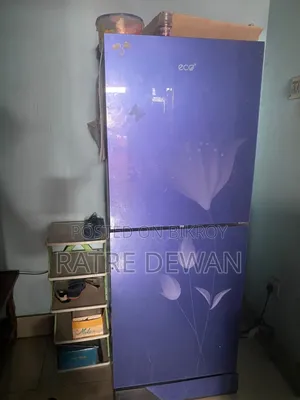 Old Fridge