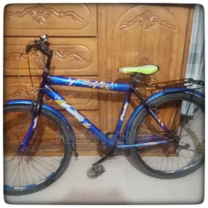 Road Runner Mountain Style Bicycle