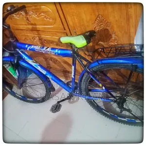 Road Runner Mountain Style Bicycle