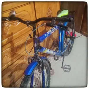 Road Runner Mountain Style Bicycle