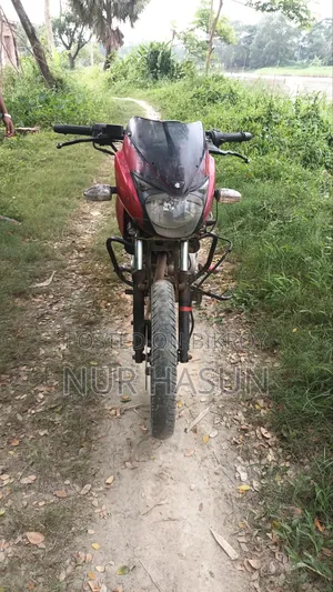 Bajaj Pulsar 150 2016 Red