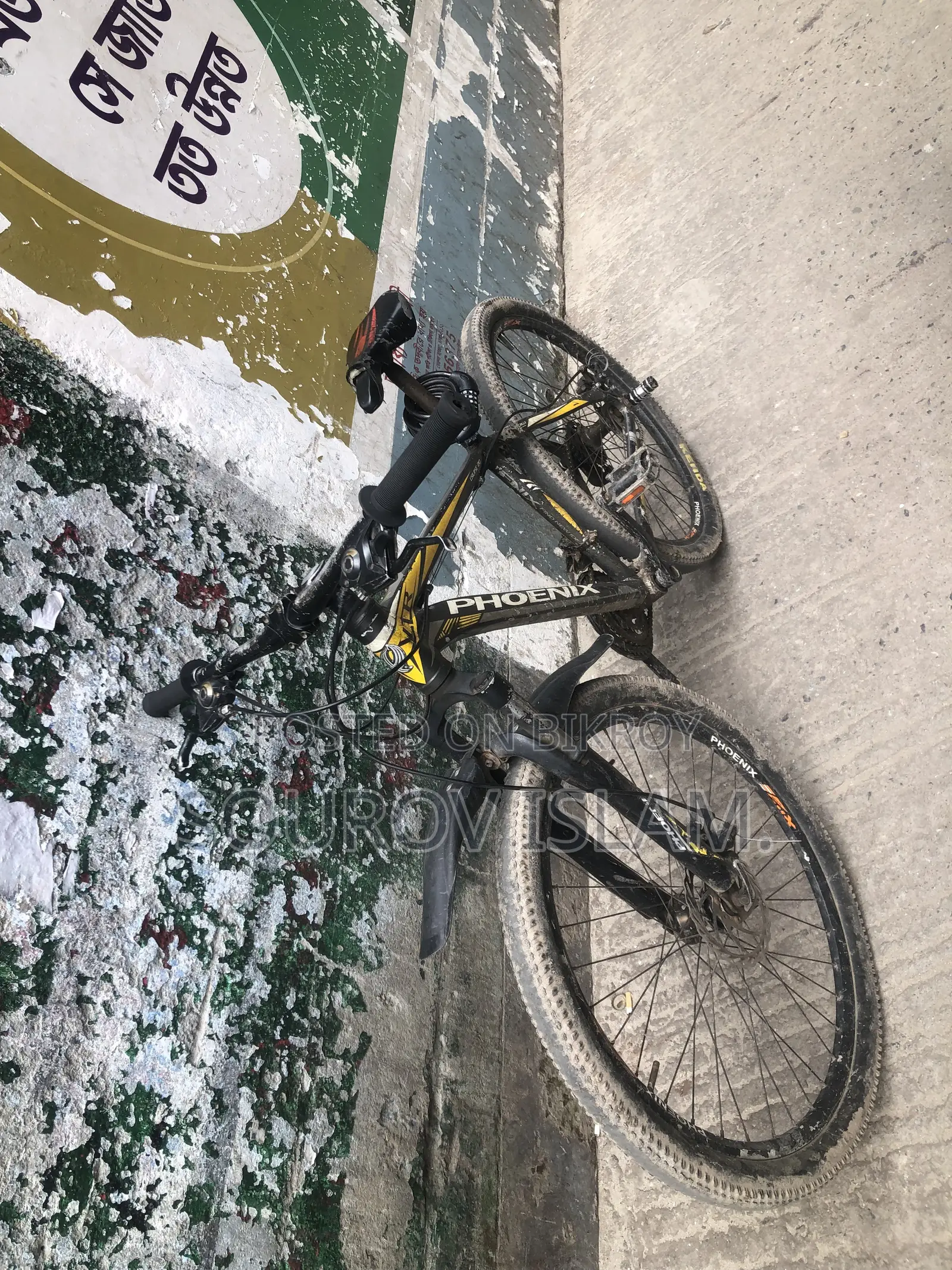 My running cycle, need money
