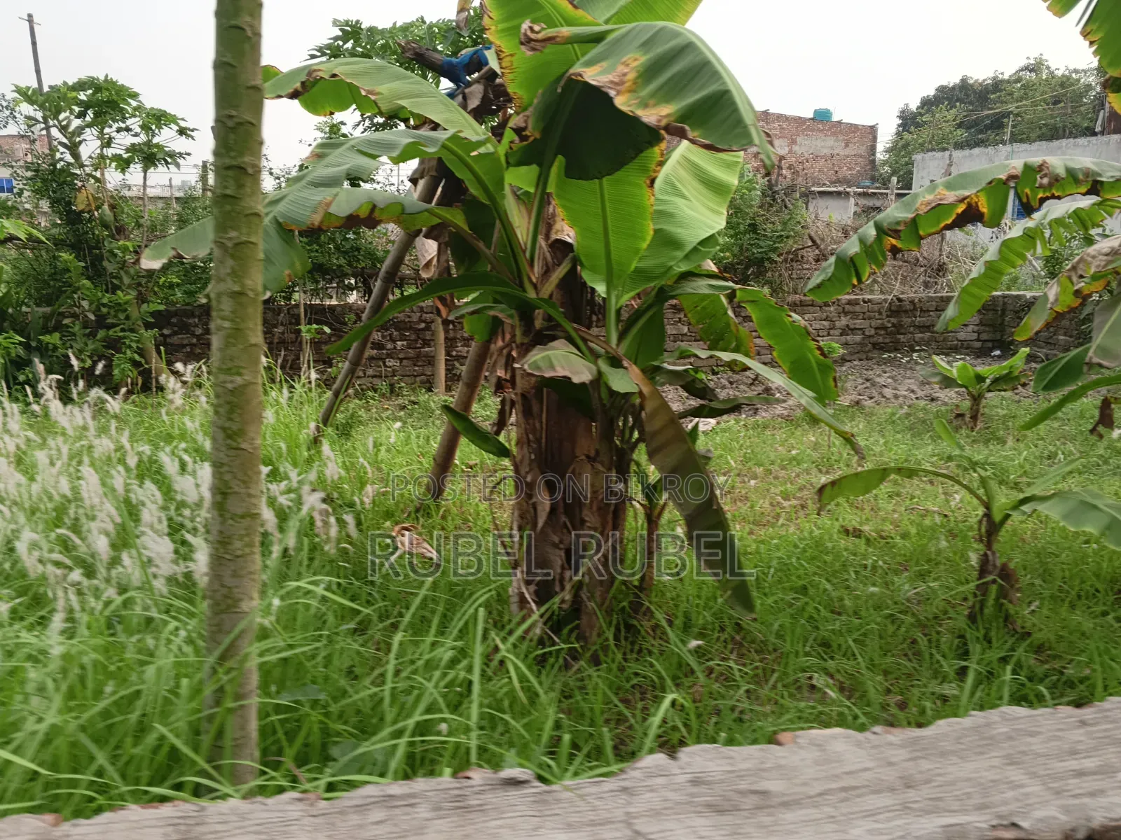 I want to sell the land, if anyone wants to take it, they can, it is walled