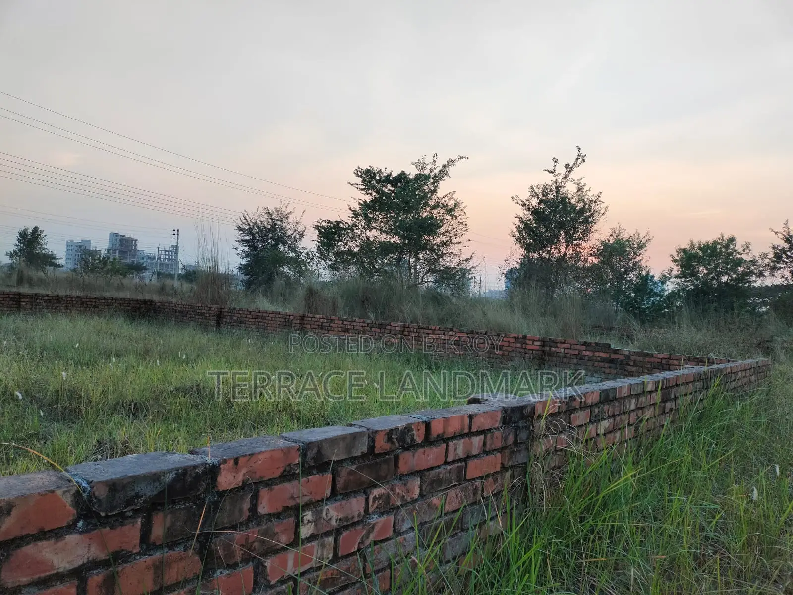 পি ব্লকে দক্ষিণমুখী ৩ কাঠার প্লট বিক্রির সেরা সুযোগ