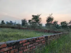 Best Deal in P Block South Face 3 Katha Plot for Sale