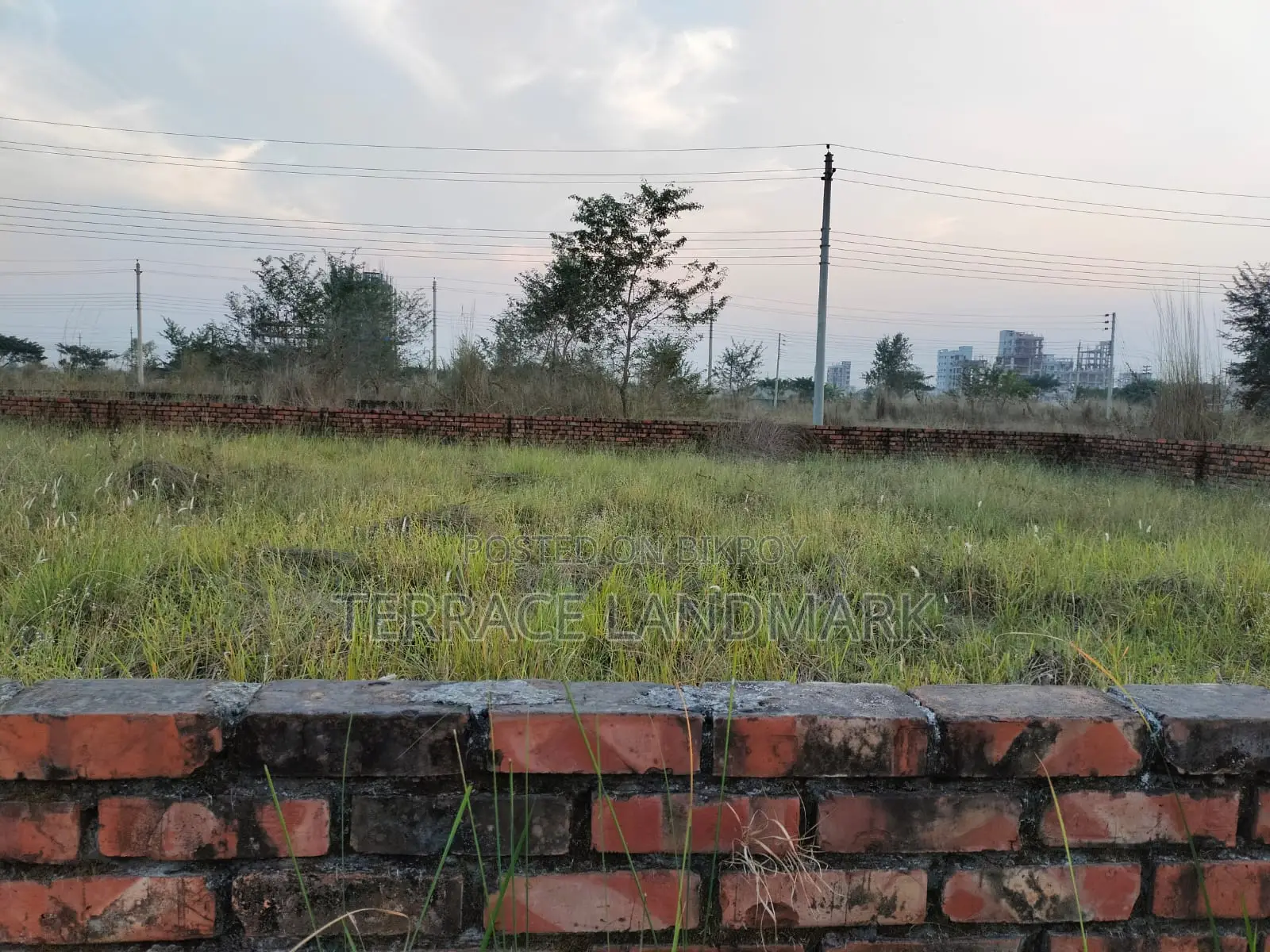 পি ব্লকে দক্ষিণমুখী ৩ কাঠার প্লট বিক্রির সেরা সুযোগ