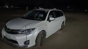 Toyota Axio 2013 Pearl
