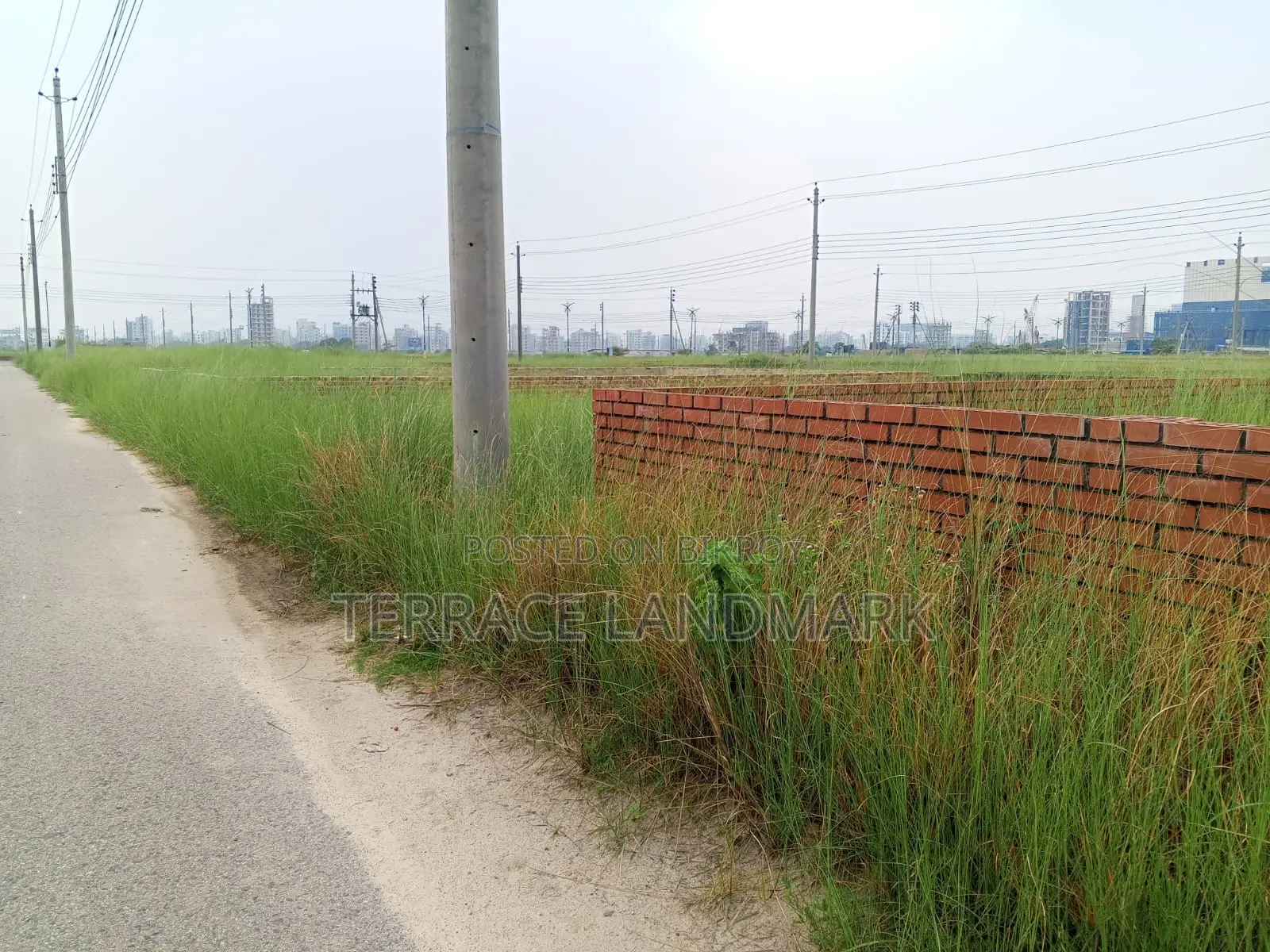 Best Plot in P Block 6 Katha for Sale in Offer Rate