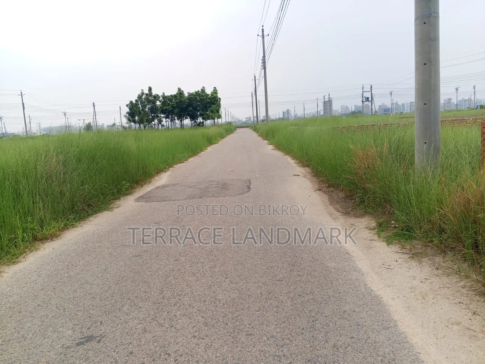 Best Plot in P Block 6 Katha for Sale in Offer Rate