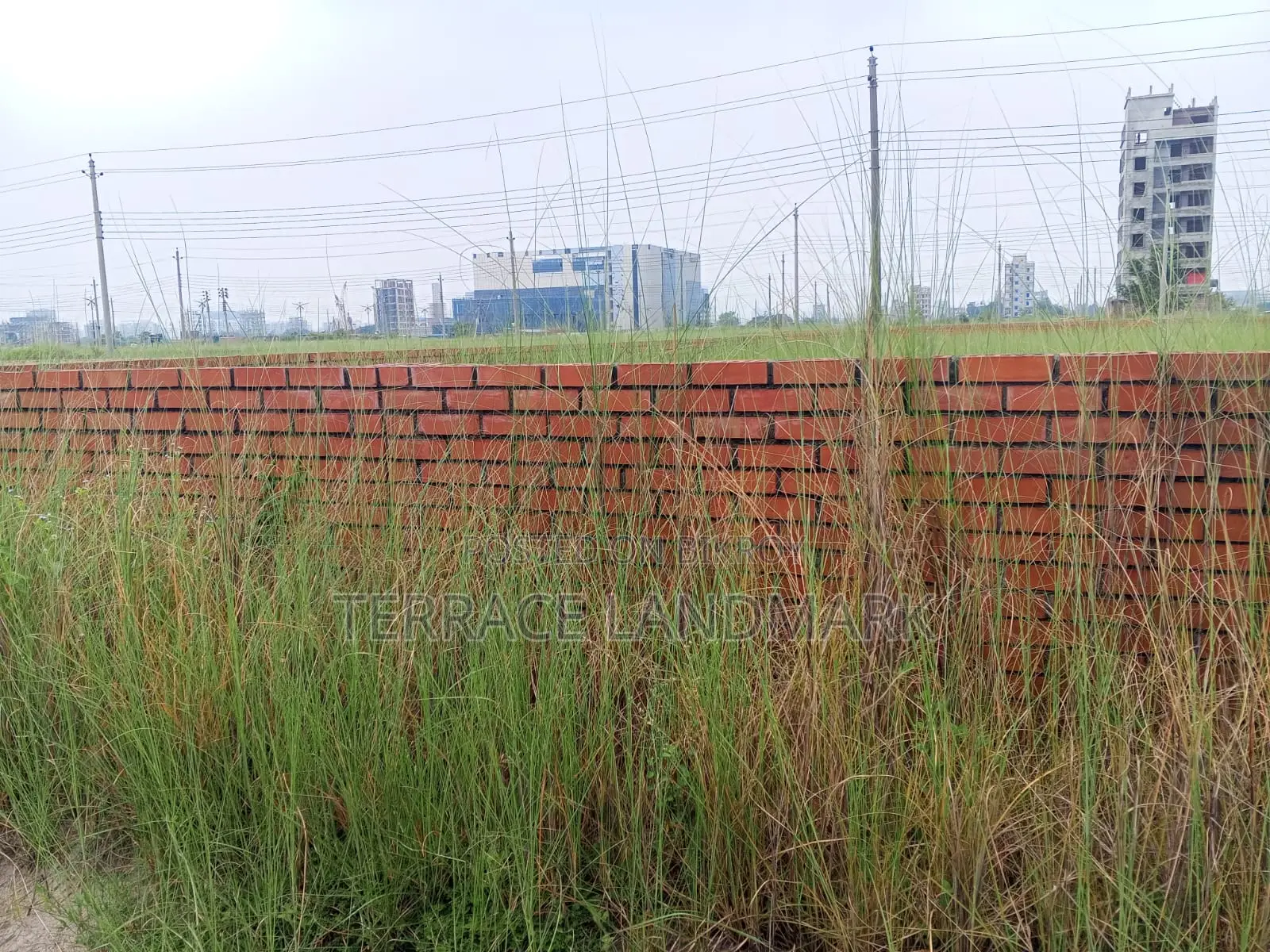 Best Plot in P Block 6 Katha for Sale in Offer Rate